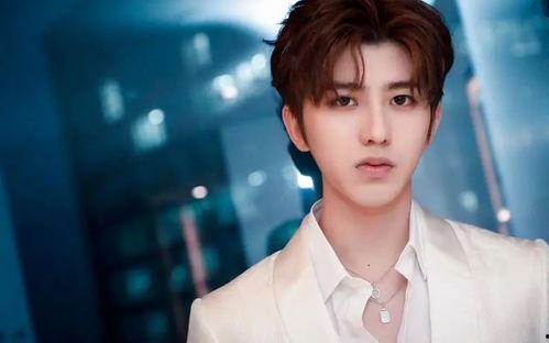 狗仔爆料王源网红视频大全,狗仔爆料揭秘明星私生活瞬间